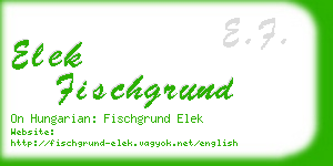 elek fischgrund business card